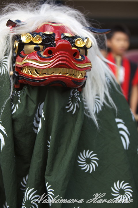 IMG_7129.jpg