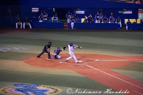 IMG_7153.jpg
