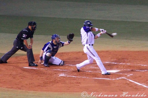 IMG_7153_1.jpg