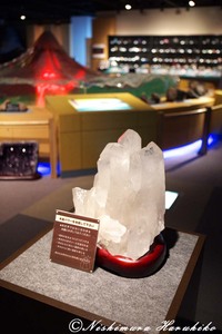 IMG_7359.jpg