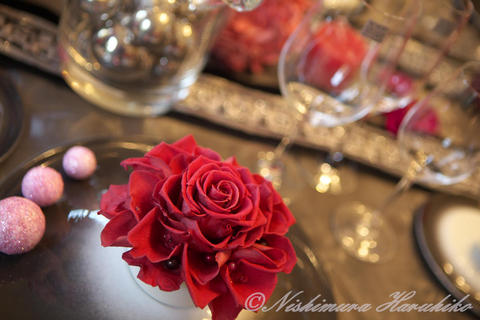 IMG_7385.jpg