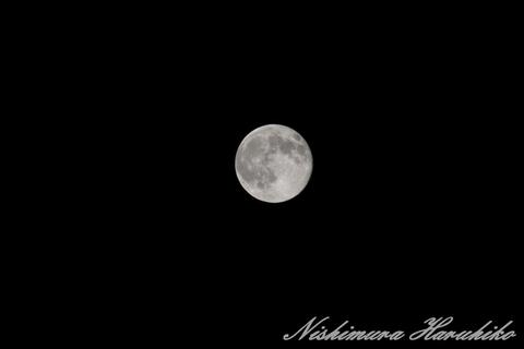 IMG_7392-01.jpg