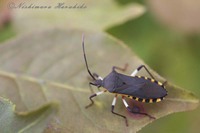IMG_7542.jpg