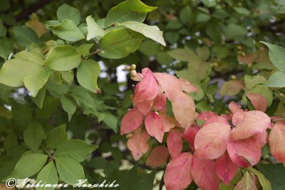 IMG_7556.jpg