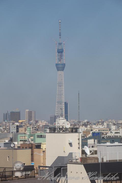 IMG_7558.jpg