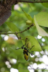 IMG_7741.jpg