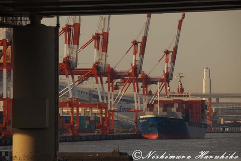 IMG_7773.jpg