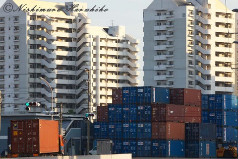 IMG_7775.jpg