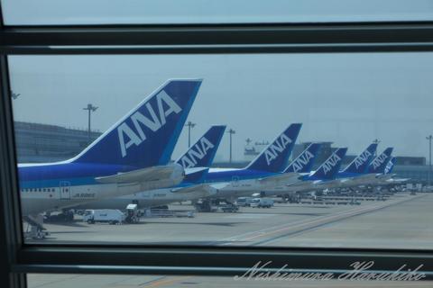 IMG_7815.jpg