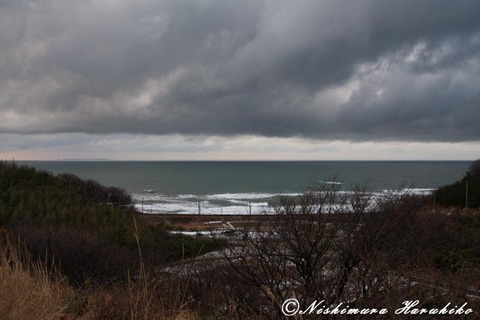 IMG_7817.jpg