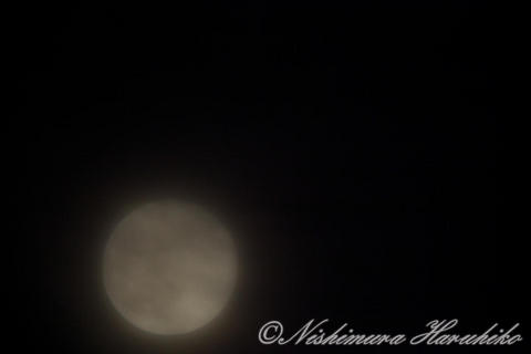 IMG_7832.jpg