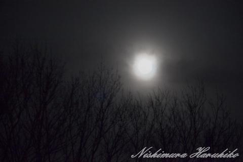 IMG_7916.jpg