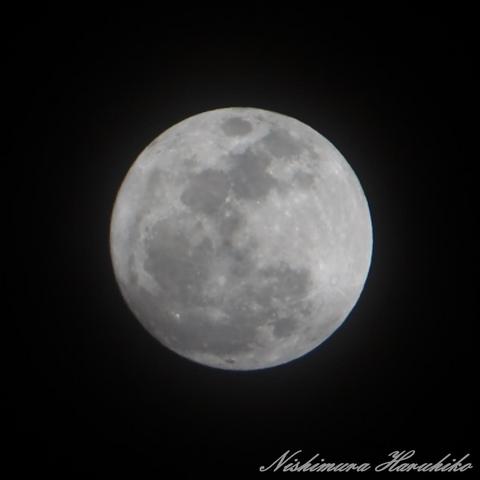 IMG_7932.jpg