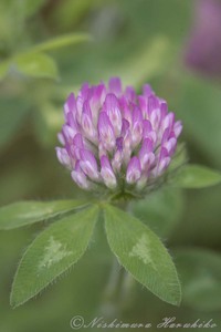 IMG_8027.jpg