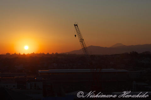 IMG_8385.jpg