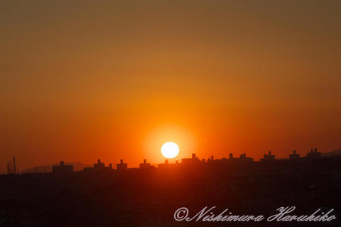 IMG_8405.jpg
