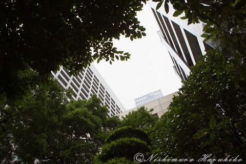 IMG_9224.jpg