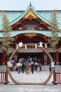 IMG_9231.jpg
