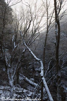 IMG_9412.jpg