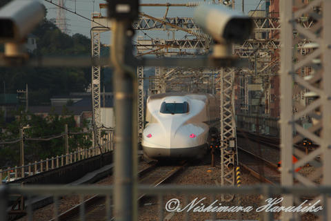 IMG_9464.jpg