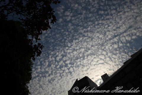 IMG_9581.jpg