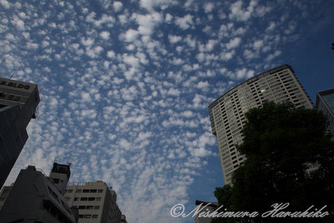 IMG_9593.jpg