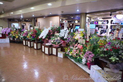 IMG_9747.jpg