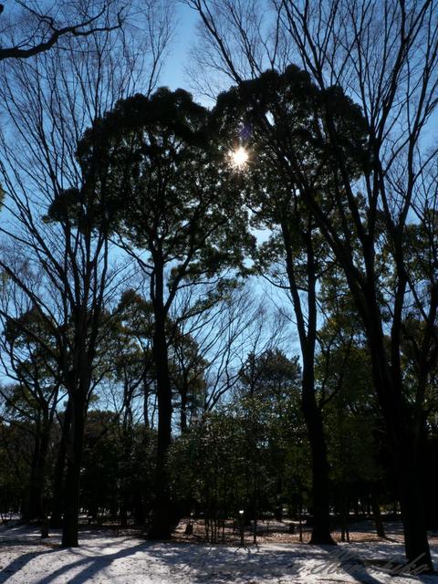 P1000160.jpg