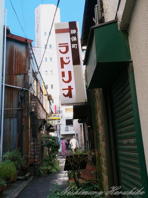 P1000199.jpg