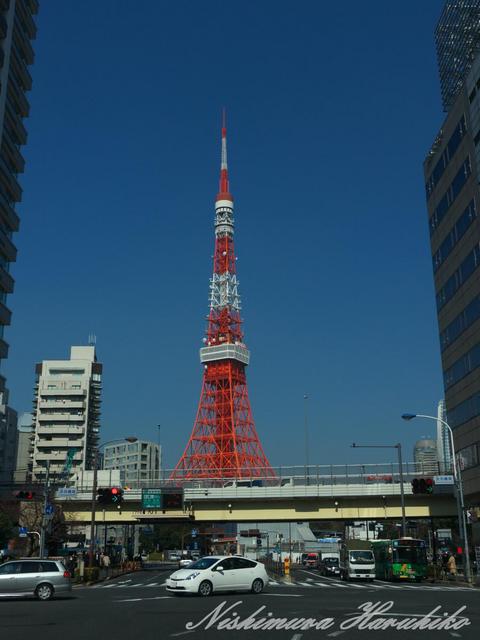 P1010286.jpg