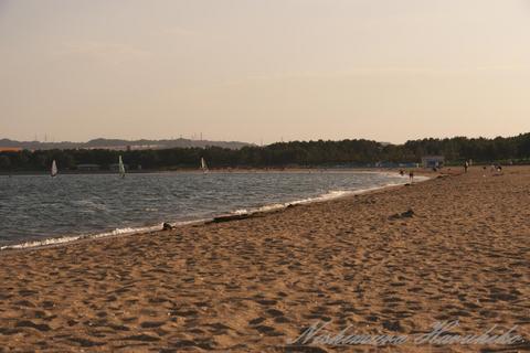 P1030282.jpg