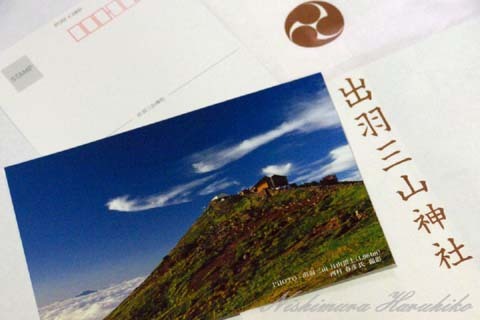 P1030431-480px.jpg
