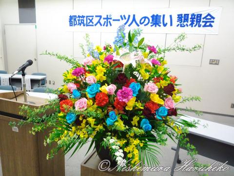 P1040704.jpg