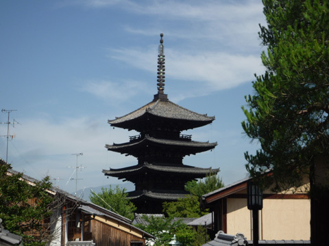 P1040766-480px.jpg