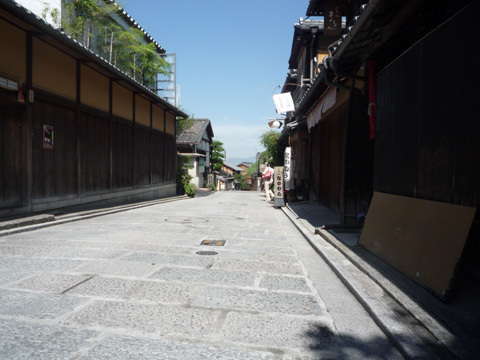 P1040767-480px.jpg