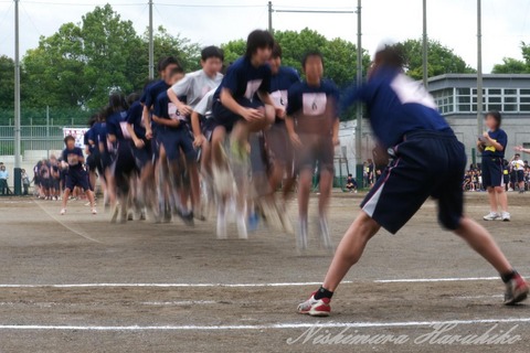 P1040831a.jpg