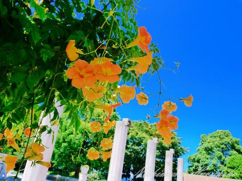 P1050305.jpg