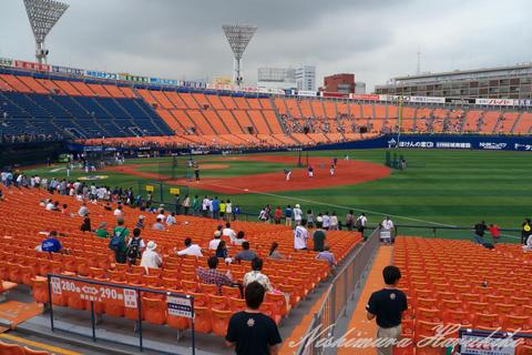 P1060030.jpg