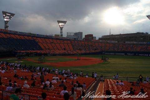 P1060042.jpg