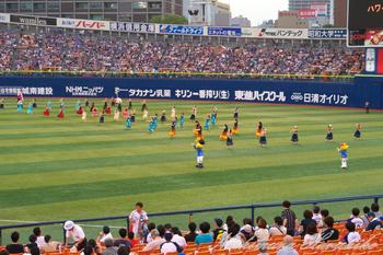 P1060079.jpg