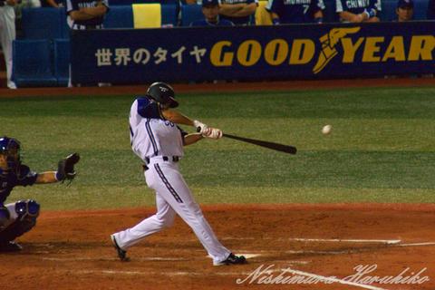 P1060221.jpg