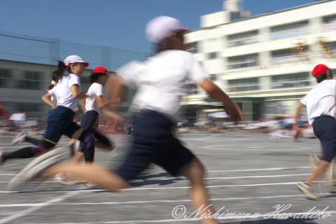 P1070765.jpg