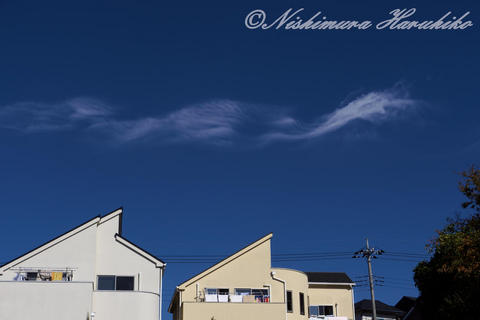 P1090247.jpg