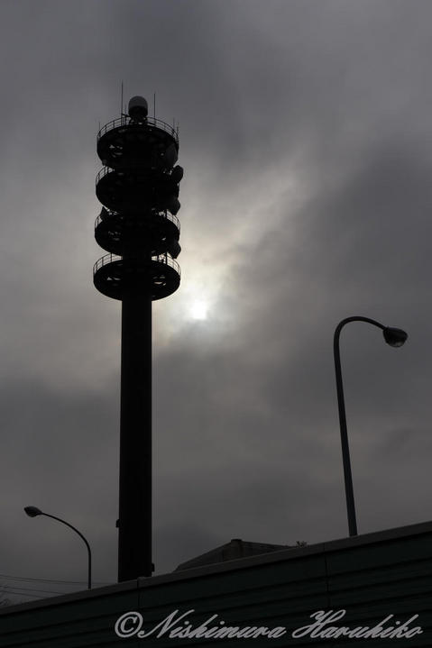 P1090259.jpg