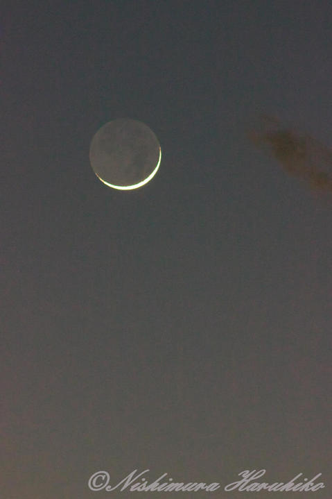 P1090533.jpg
