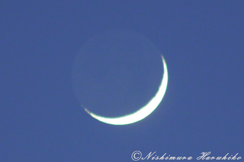 P1090597-a.jpg