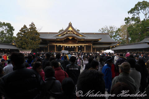 P1090800.jpg