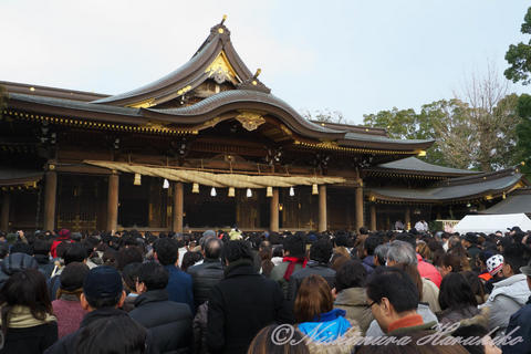 P1090810.jpg