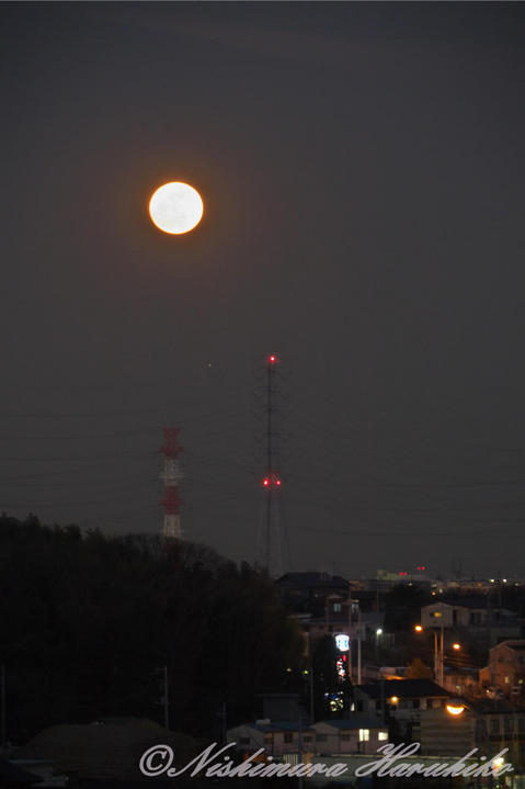 P1090974.jpg