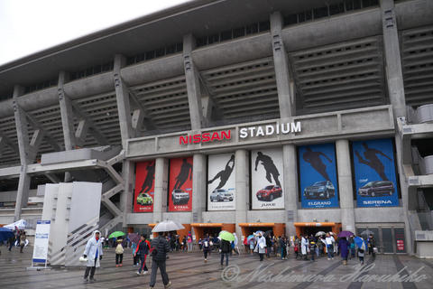 P1100011.jpg